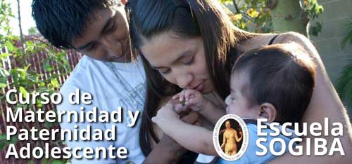 Cabecera Curso Ginecoendocrino